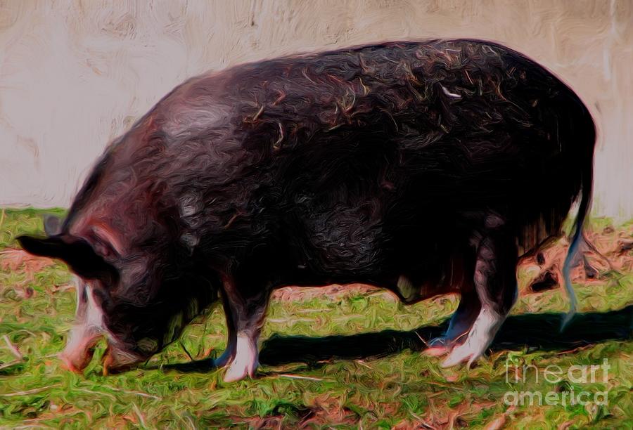 Ossabaw Island Pig with Oil Painting Effect Photograph by Rose Santuci-Sofranko