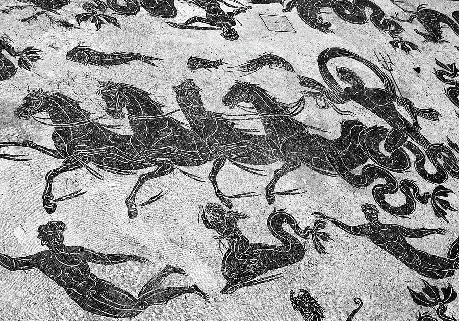 Ostia Antica Ancient Roman Baths of Neptune Floor Tile Mosaic Black and White Photograph by Shawn OBrien
