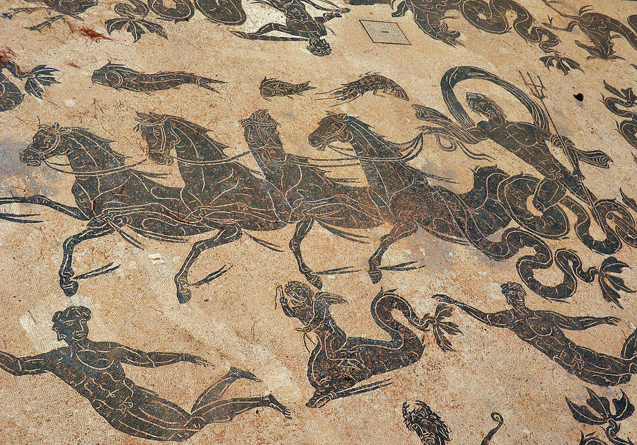 Ostia Antica Ancient Roman Baths of Neptune Floor Tile Mosaic Photograph by Shawn OBrien