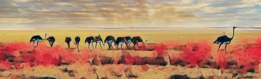 Ostrich Parade Artfully Presented Photograph by Kay Brewer