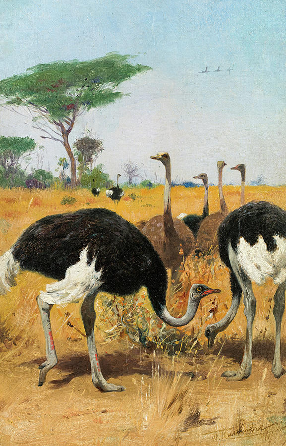 ostrich painting