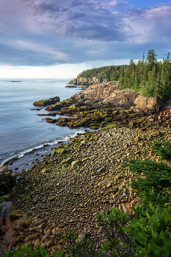 Otter Cliff Acadia M1A1647 Photograph by Greg Hartford - Fine Art America