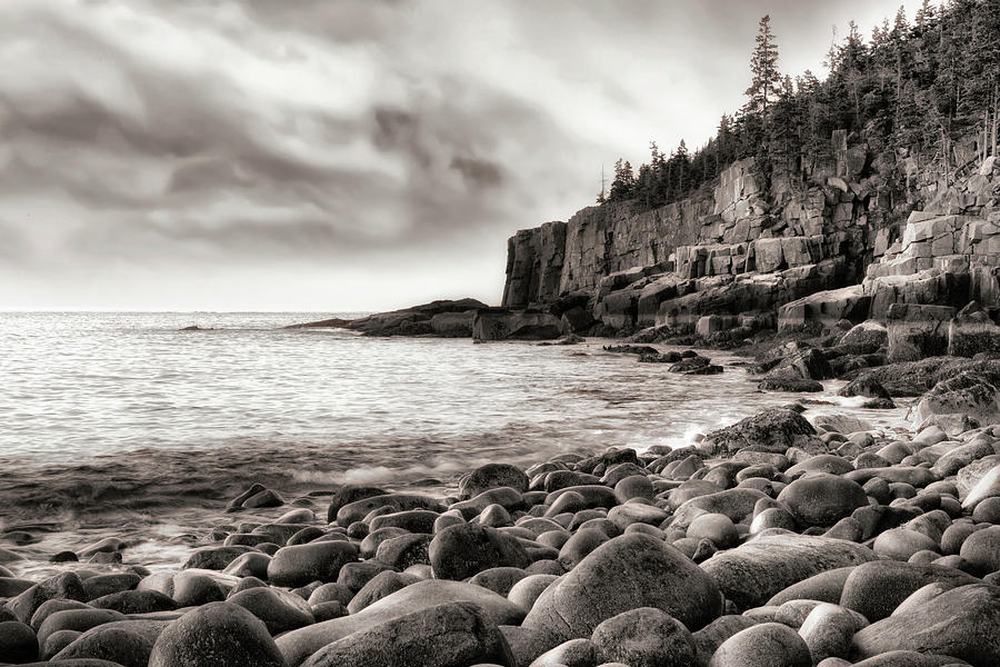 Otter Cliff In Black And White Photograph