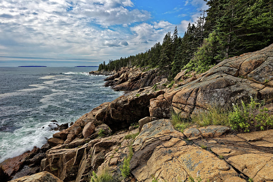 Otter Cliffs Photograph by Doolittle Photography and Art