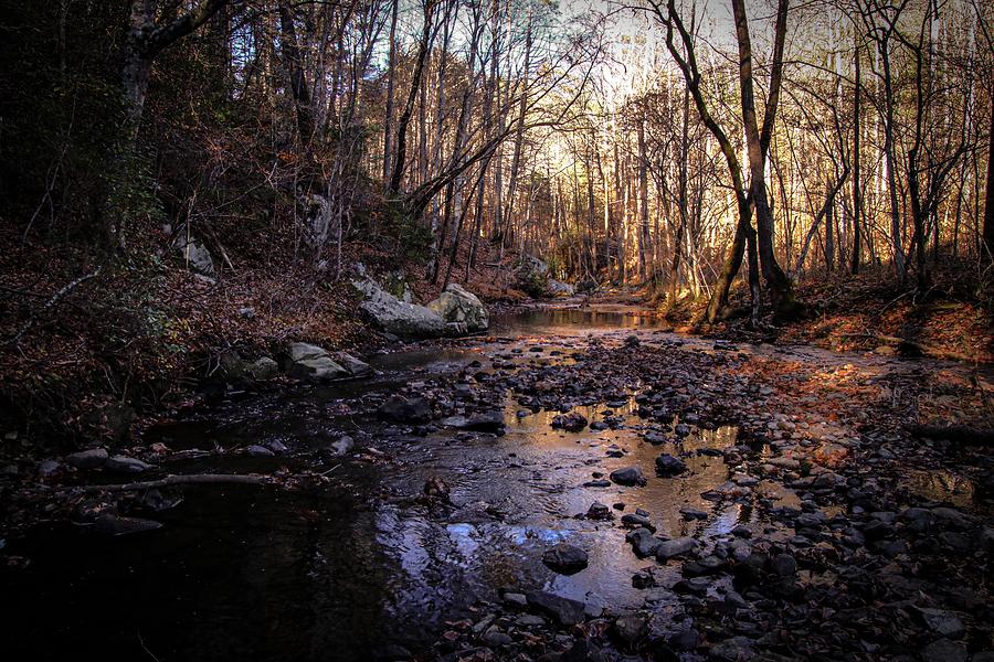 Otter Creek Photograph by Deb Beausoleil
