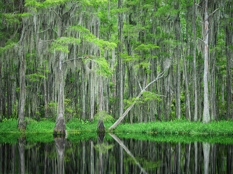 Otter Lake Scenic Photograph by Bill Chambers - Fine Art America