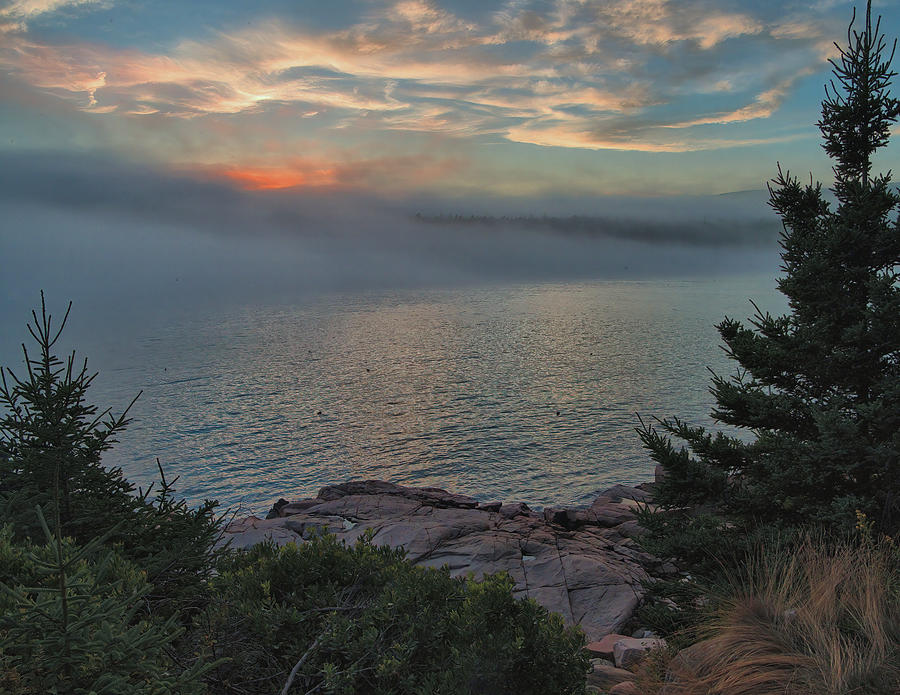 Otter Point And Coastal Fog At Sunset Photograph by Stephen Vecchiotti