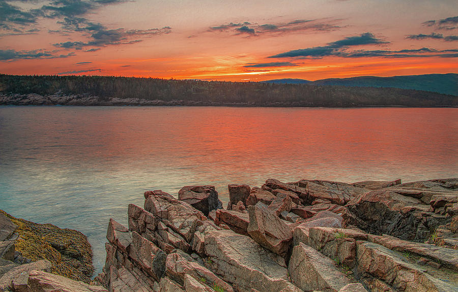 Otter Point Sunset, Acadia National Park Photograph by Marcy Wielfaert