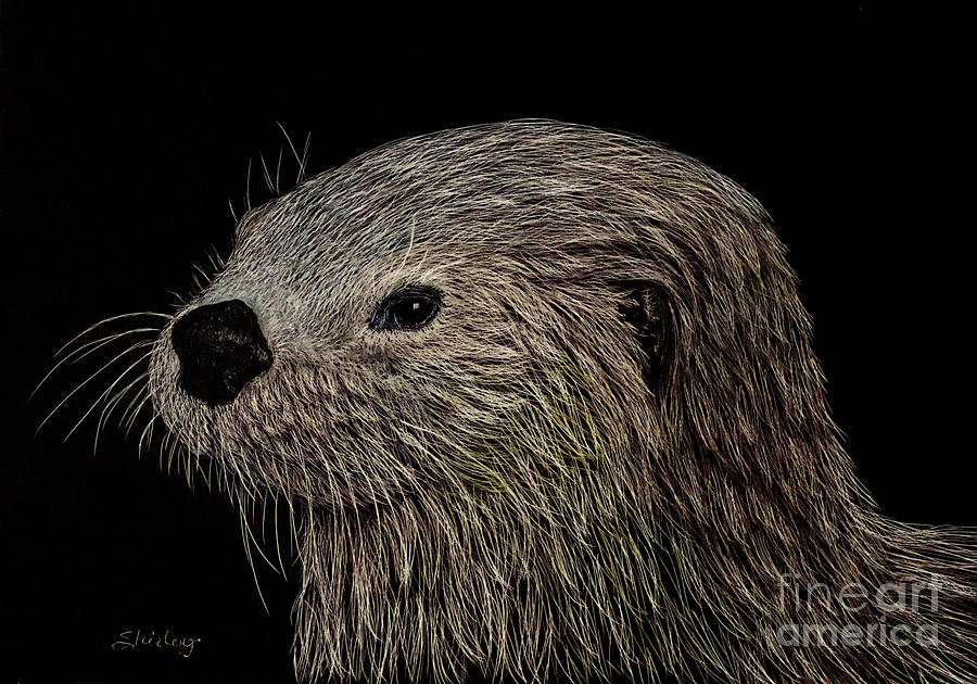 Otter Drawing by Shirley Dutchkowski