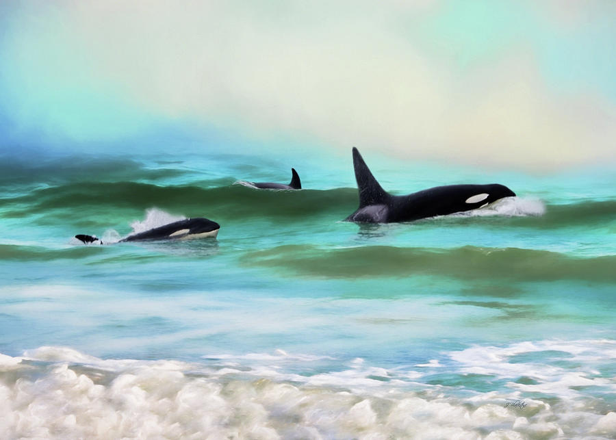 Our Family - Orca Whale Art Painting by Jordan Blackstone