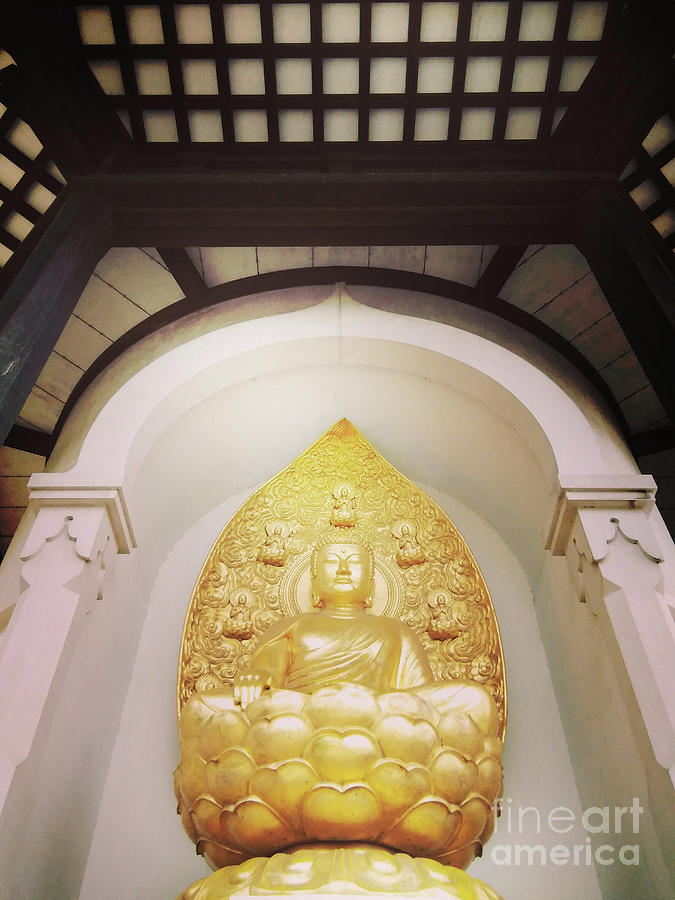 Our Friend The Buddha - Boundless Light Photograph by Rebecca Harman