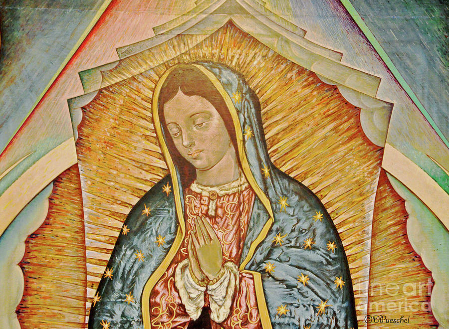 Lady of Guadalupe Photograph by Debby Pueschel - Pixels