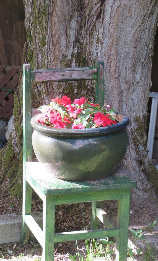 Our Little Green Chair Photograph by Joyce Gebauer