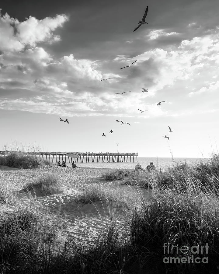 Our Spot on the Beach at Venice Fishing Pier, Florida, BW2 Photograph by Liesl Walsh