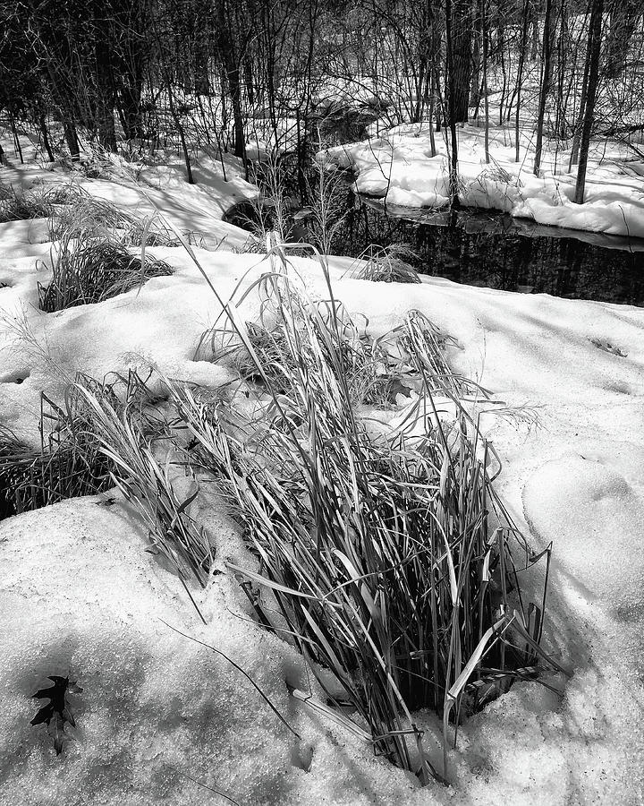 Our Winter Creek BW Photograph by Scott Olsen