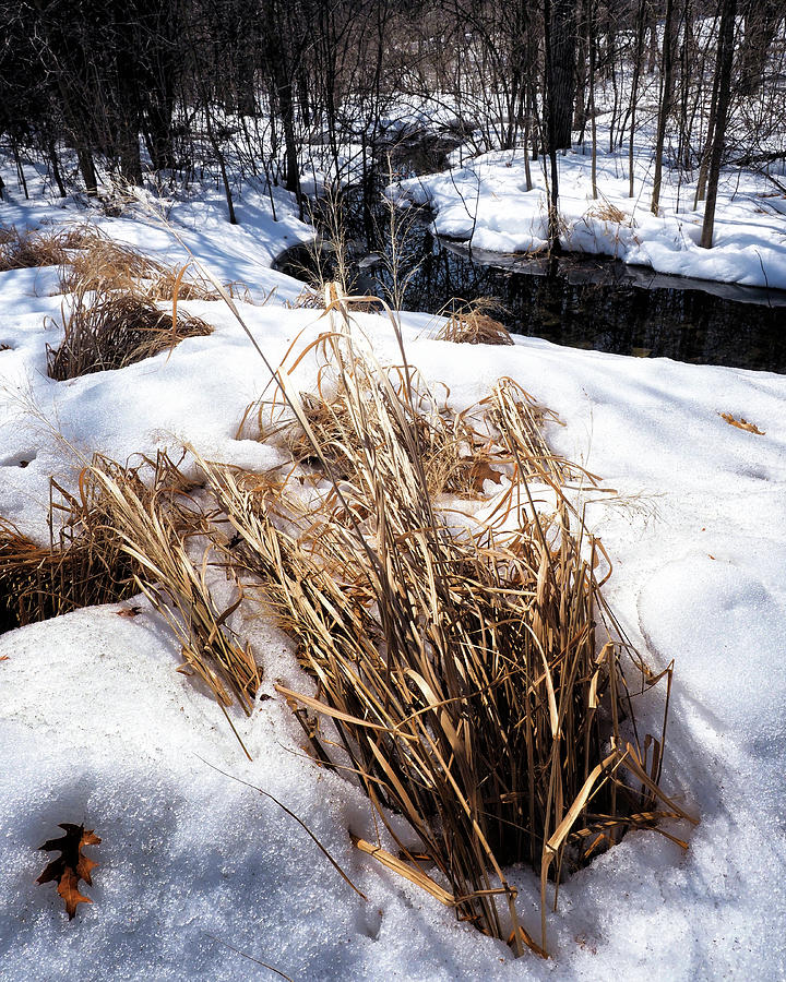 Our Winter Creek Photograph by Scott Olsen