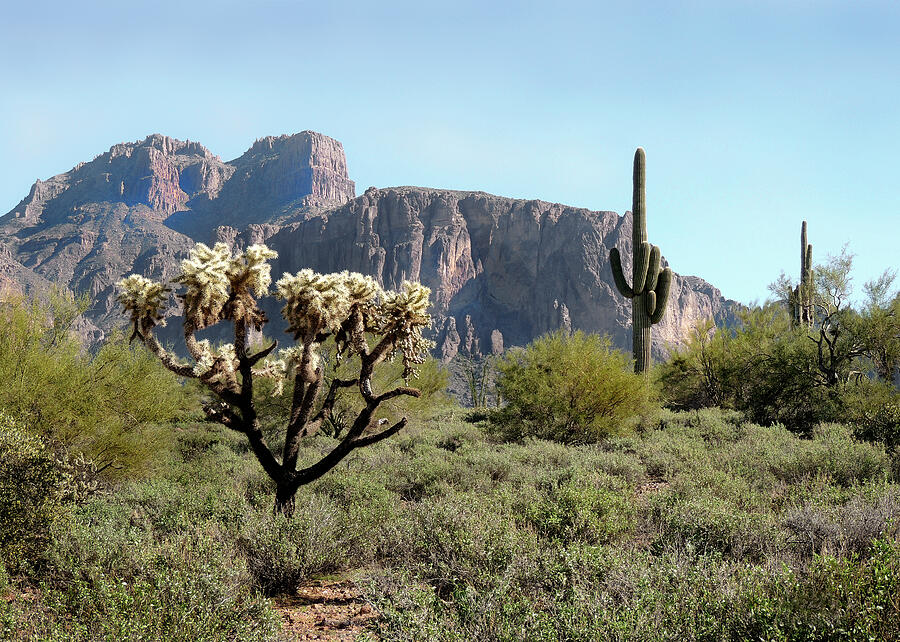 Phoenix Photograph - Out Arizona Way by Gordon Beck