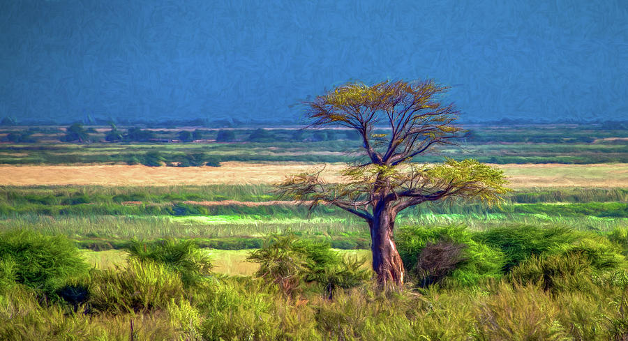 Out of Africa, A Botswana Landscape Photograph by Marcy Wielfaert