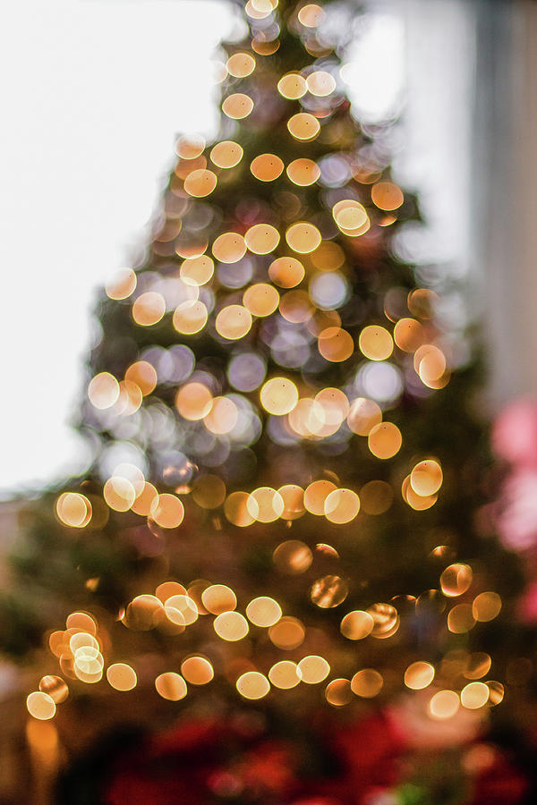 out of focus Christmas tree lights background image Photograph by Jen  Honeycutt - Pixels