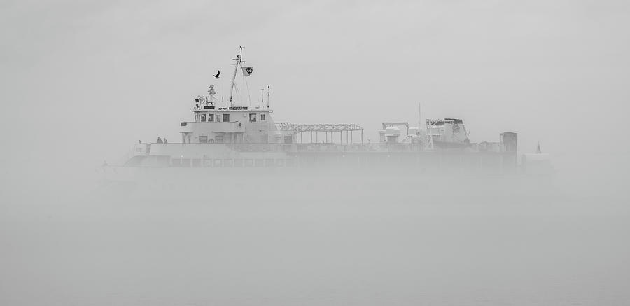 Out of the Fog Photograph by Kyle Lee