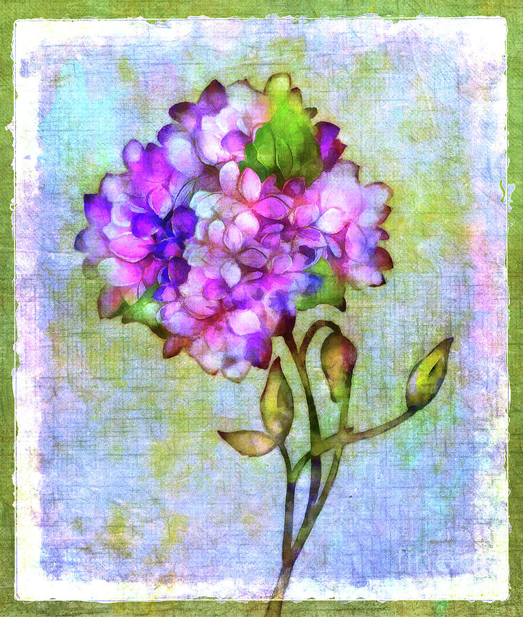 Out of the Garden Digital Art by Judi Bagwell