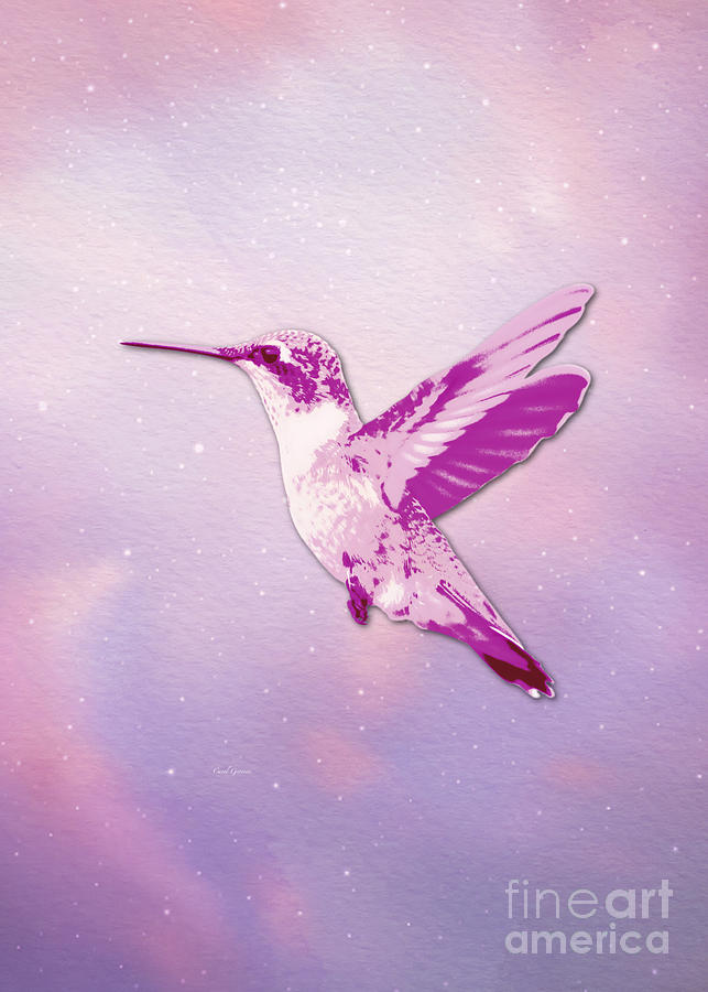Out of this World Pink Hummingbird Photograph by Carol Groenen