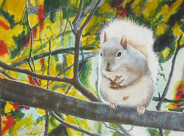 Out on a limb  Painting by Bobby Walters