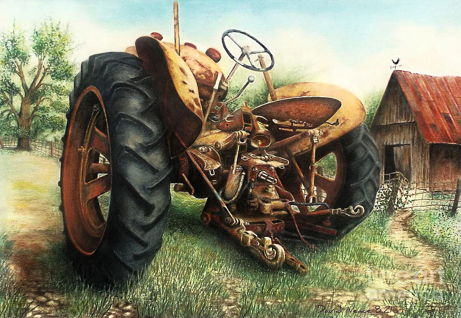 Out to Pasture Drawing by David Neace