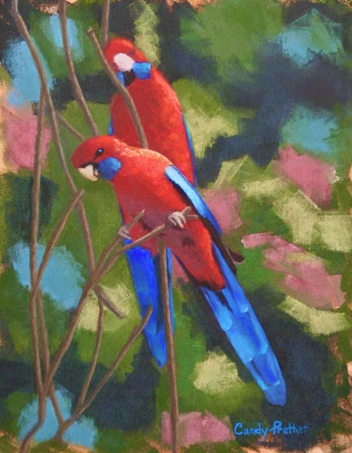 Bird Painting - Outback Crimson Rosellas by Candace Antonelli