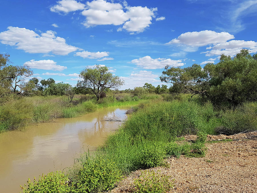 Outback Floodwater Photograph by Maryse Jansen