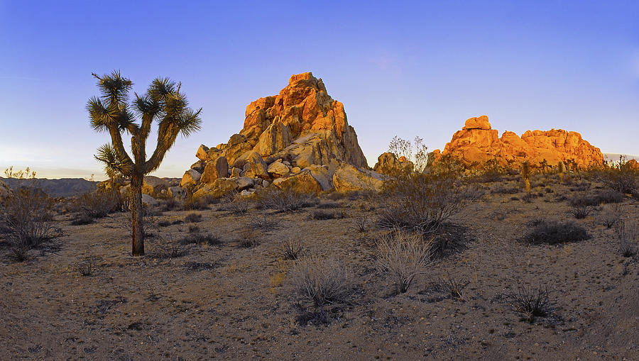 Outback Rock Formation Photograph by Paul Breitkreuz