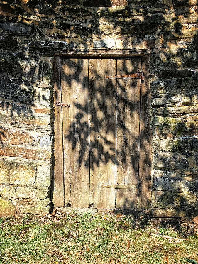 Outbuilding Door Photograph by Steven Nelson