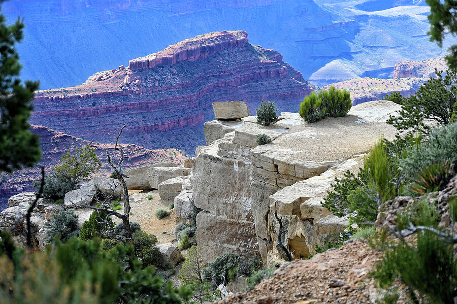 Mug Photograph - Outcrop with Square Blocks at Grand Canyon Arizona Midrange Focus by Sheri Fresonke Harper