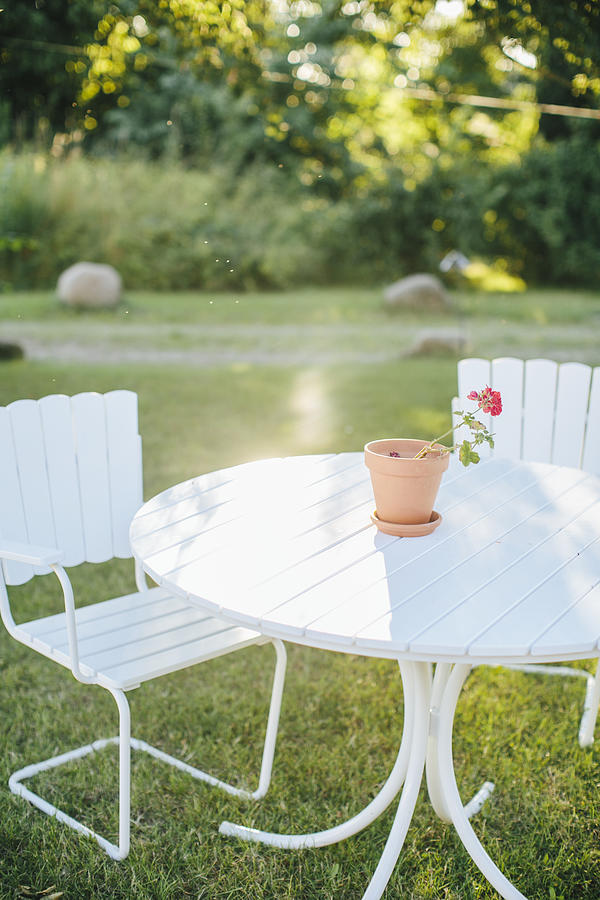 Outdoor chairs in garden Photograph by Johner Images