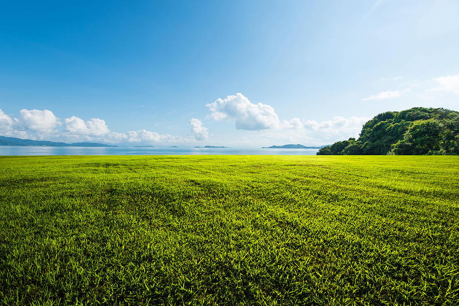 Outdoor grassland Photograph by Louis Koo