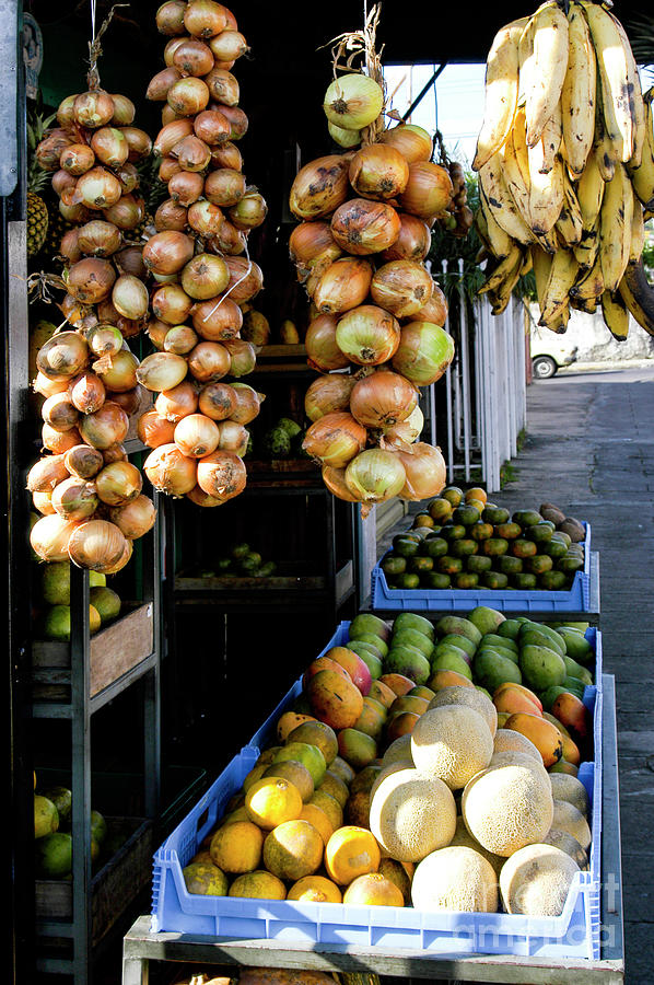 Outdoor market with onions and bananas hanging with avocados, melons, and citrus.    Photograph by Gunther Allen
