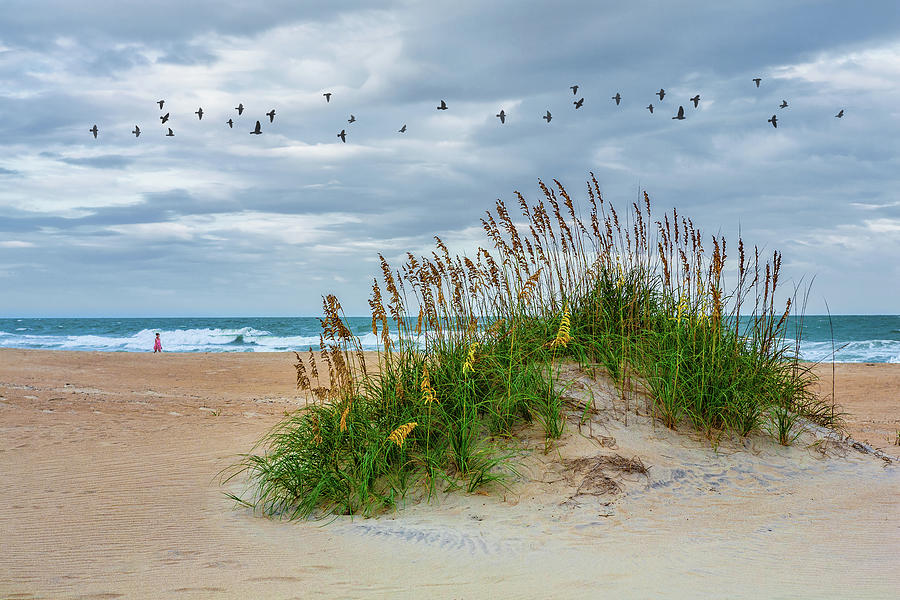 Outer Banks A Stroll on the Beach Photograph by Dan Carmichael