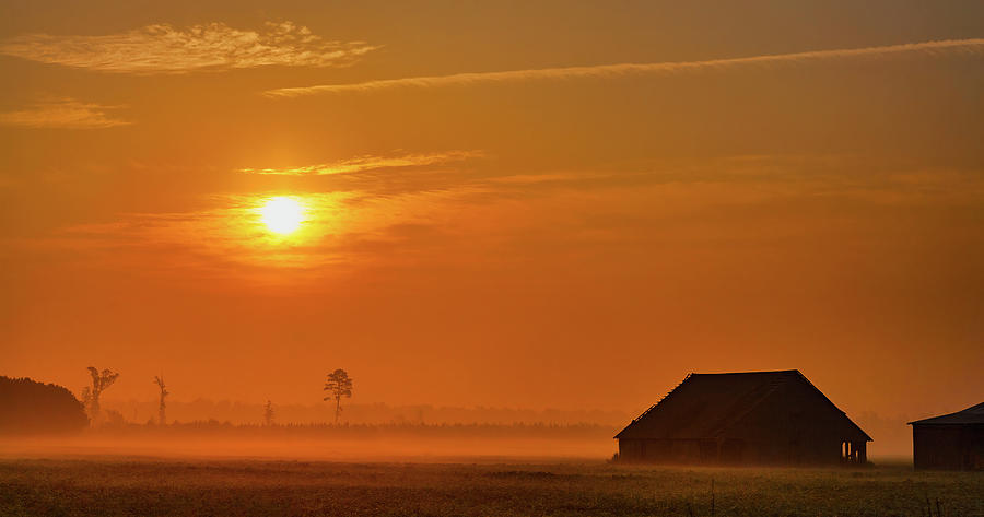 Outer Banks Foggy Farm Sunrise 609 Photograph by Dan Carmichael