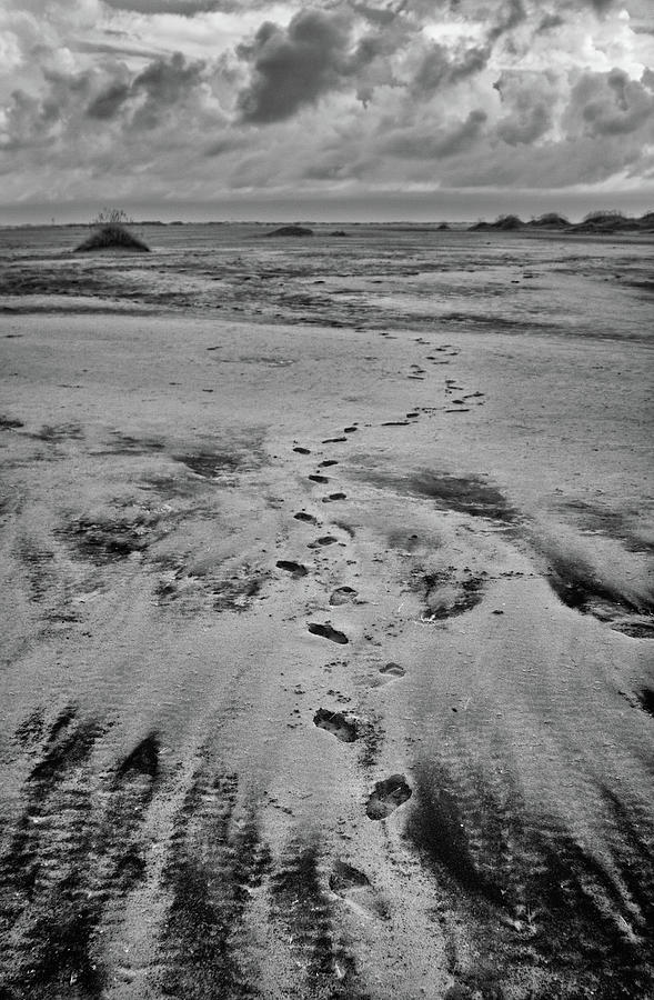 Outer Banks Hike on the Beach bw Photograph by Dan Carmichael