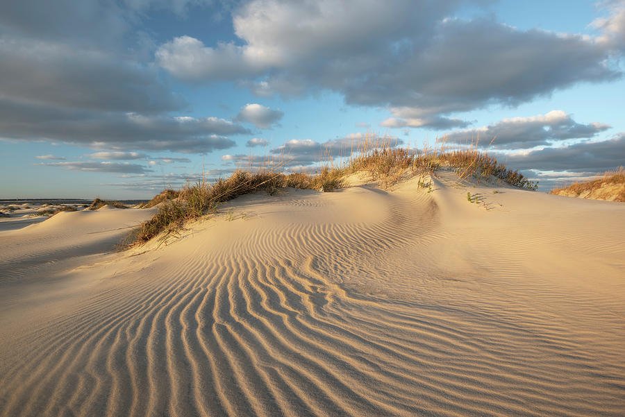 Outer Banks North Carolina Pea Island National Wildlife Refuge ...