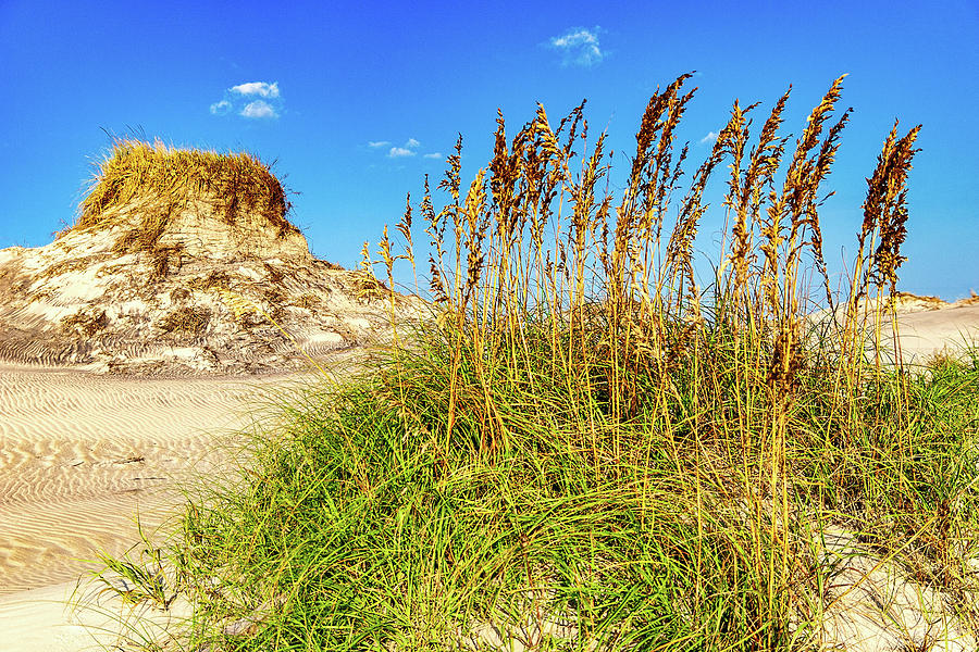 Outer Banks Sand Dune Visions Photograph by Dan Carmichael