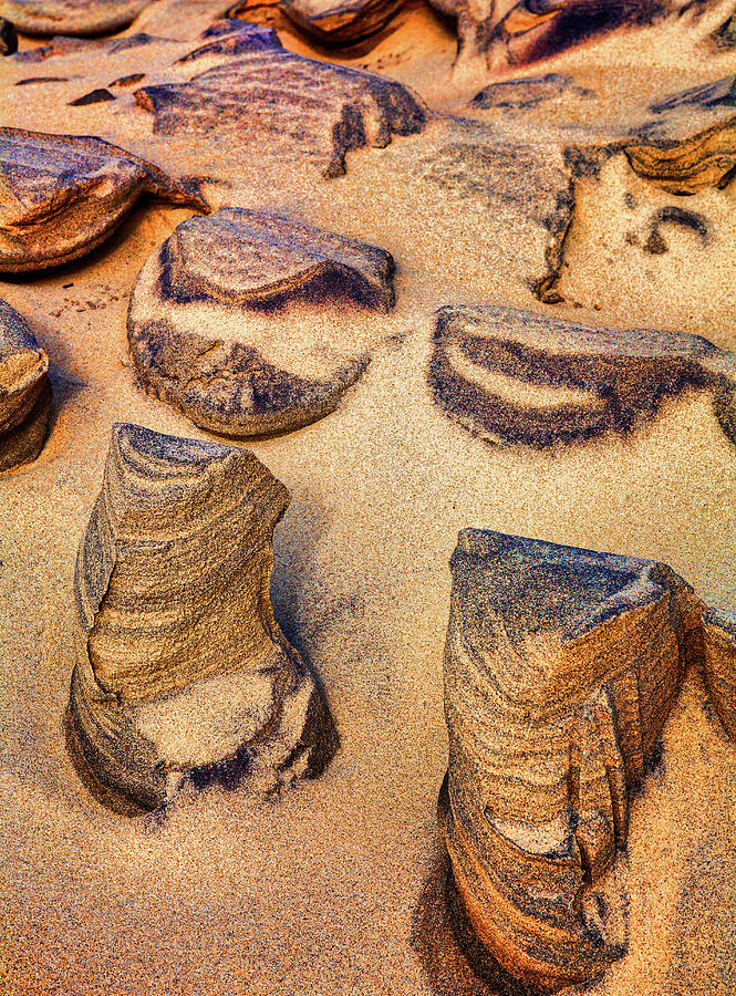 Outer Banks Sand Sculptures Photograph by Dan Carmichael