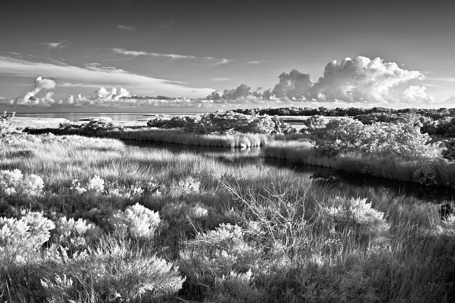 Outer Banks Shadows of Ocracoke bw Photograph by Dan Carmichael