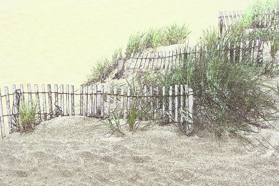 Outer Banks Shore Photograph by Minnie Gallman