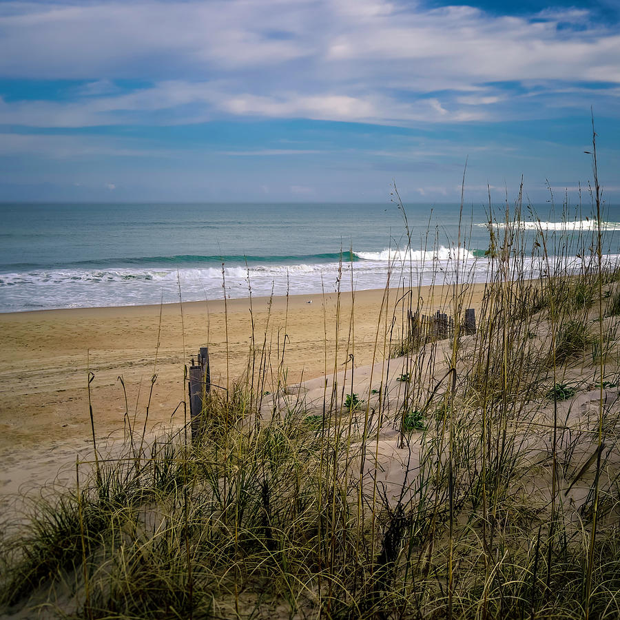 Outer Banks spring Photograph by Darrell Foster