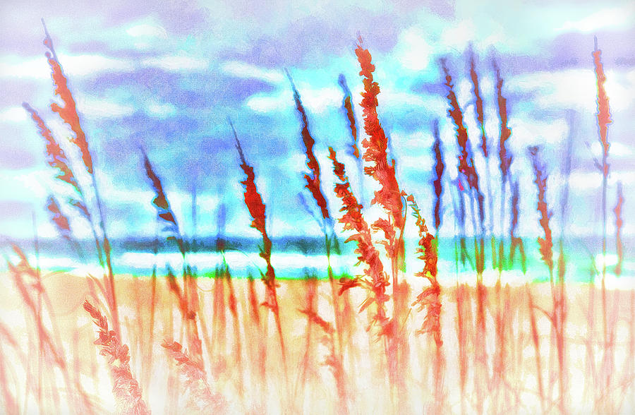 Outer Banks Swaying Oats fx Photograph by Dan Carmichael