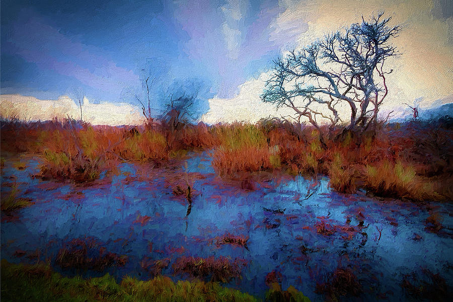 Outer Banks the Marsh on Hatteras AP Painting by Dan Carmichael