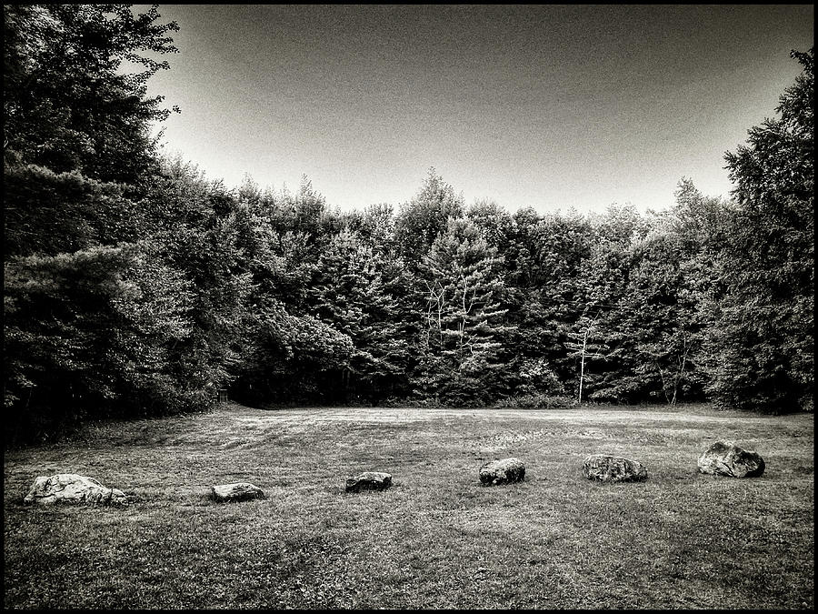 Pines Photograph - Outer Loop by Robert Dann