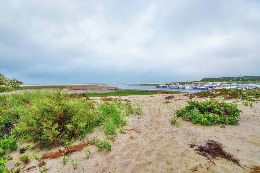 Outermost Harbor Morning Photograph by Marisa Geraghty Photography