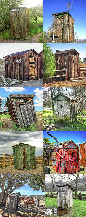 Outhouse Color Panel Vertical Photograph by Don Schimmel